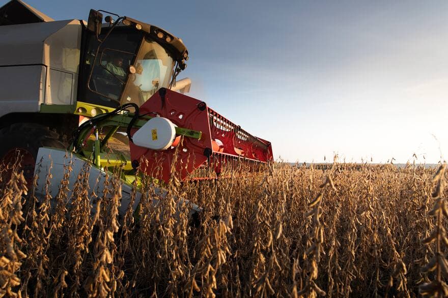 Según un factor decisivo: anticiparon con la inteligencia artificial cuánto va a rendir la soja